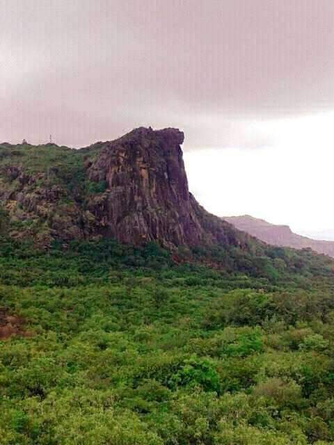 Article : Dame du Mali : une l&eacute;gende controvers&eacute;e qui d&eacute;shonore la femme peule ?