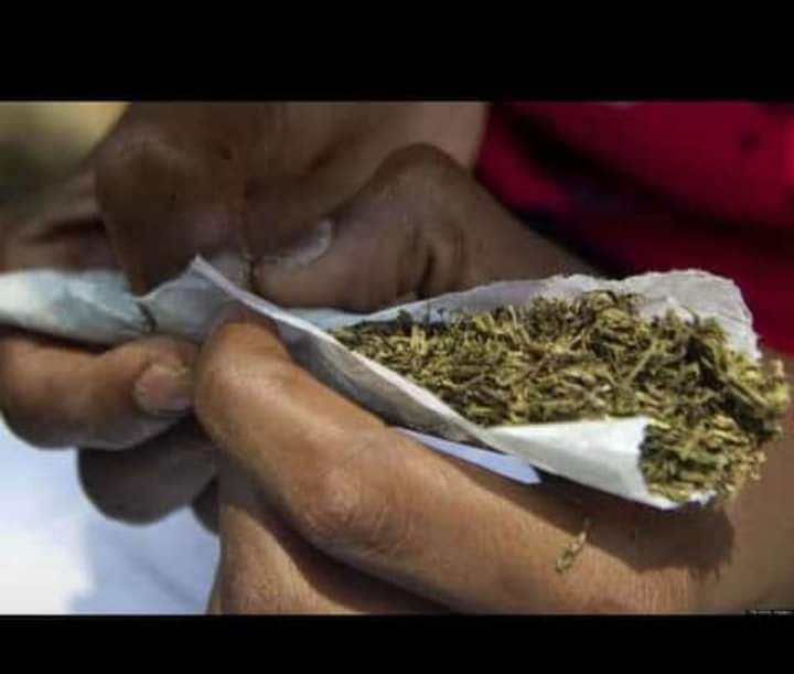 Article : 0️⃣3️⃣ raisons pour lesquelles il ne faut pas fumer la ganja.